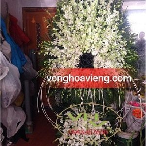 lăng hoa lan trắng