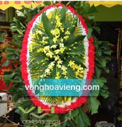 vong-lan-giua vòng hoa lan giữa 500k