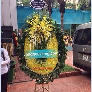vòng ovan to đại cắm bằn lan vàng