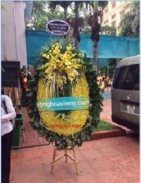 vòng ovan to đại cắm bằn lan vàng