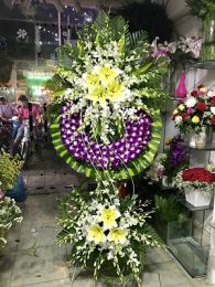 vòng hoa lan tím và trắng