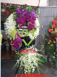 Vòng hoa sài gòn màu trắng, lan hồ điêp