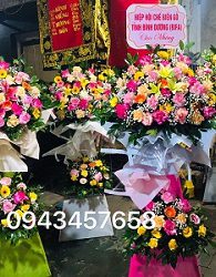Hoa khai trương tại Tp Vinh Nghệ An